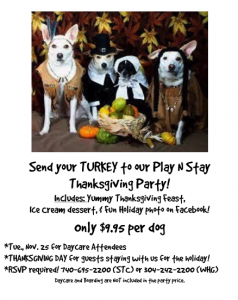 Thanksgiving Party for Dog