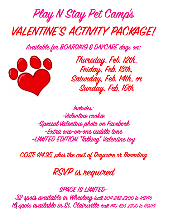 2014 Valentine's Party for Dogs | Play N Stay Pet Camp | FUN Dog ...