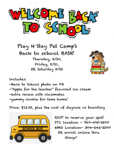 Dogs Daycare Back to School