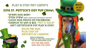 Dog Daycare Party St. Patrick's Pup Crawl