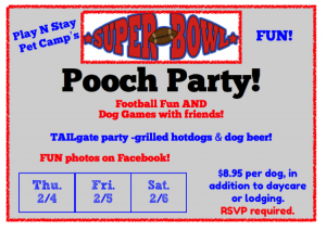 Dog Party Dog Daycare