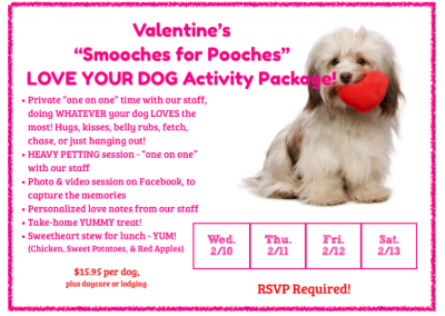 Valentine Party Dog Daycare