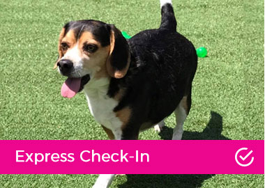 Express Check-In