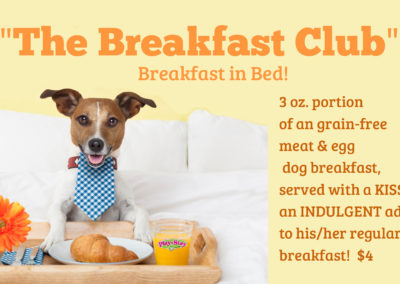 Breakfast for dogs while boarding
