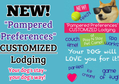Pampered Preferences while dog is boarding or at daycare